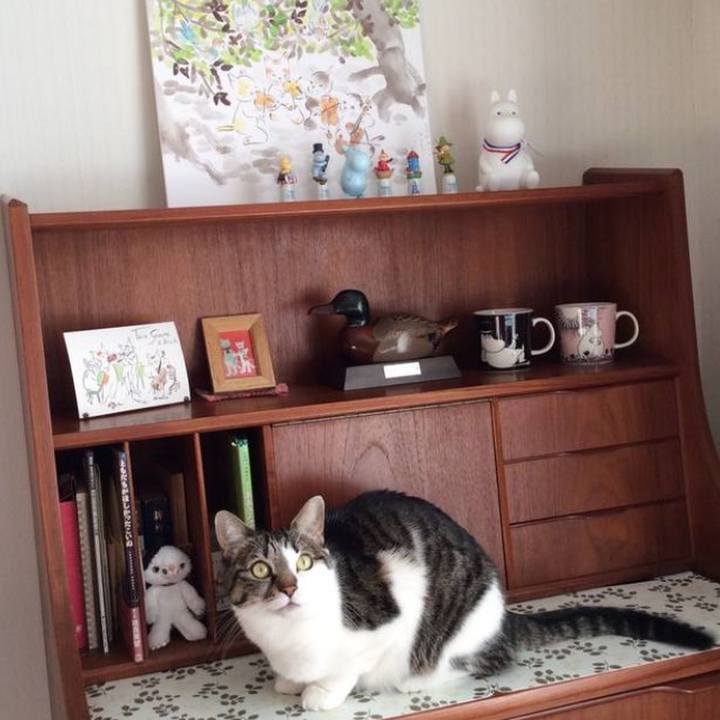 3bd614d0 2e97 490c 951f 4f6776cb7acd 1765755524948