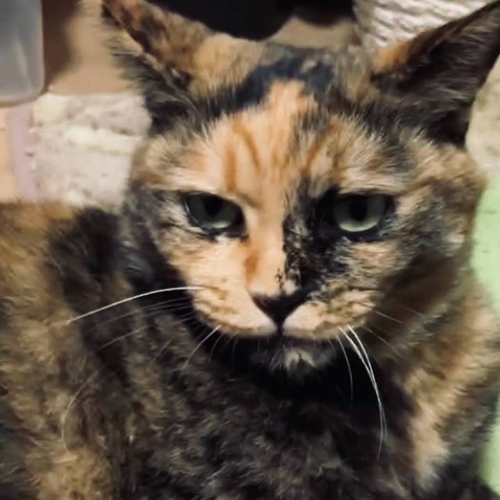 3bd617bf 9b34 48e2 b8a8 af5346129ede 1727837926865