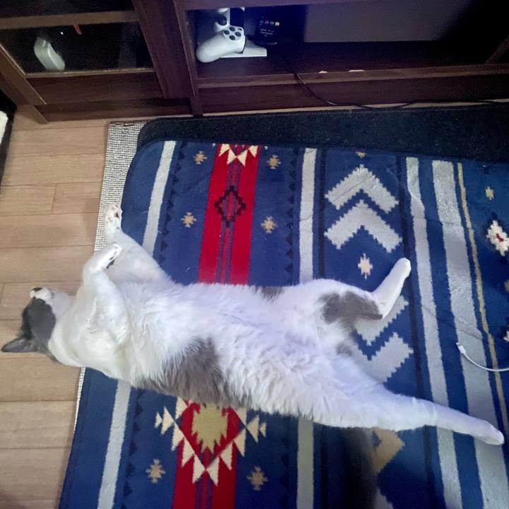 3bd62980 7851 4ae0 bfa5 932b7c5c6dd3 1689153757040