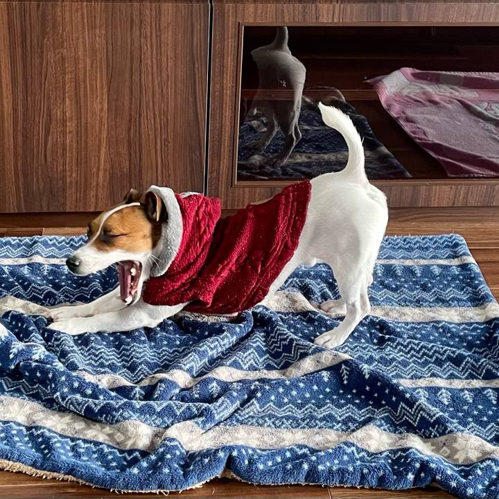 3bd63827 e5b4 4dfb 9437 2f2d5a90d62f 1643240909408