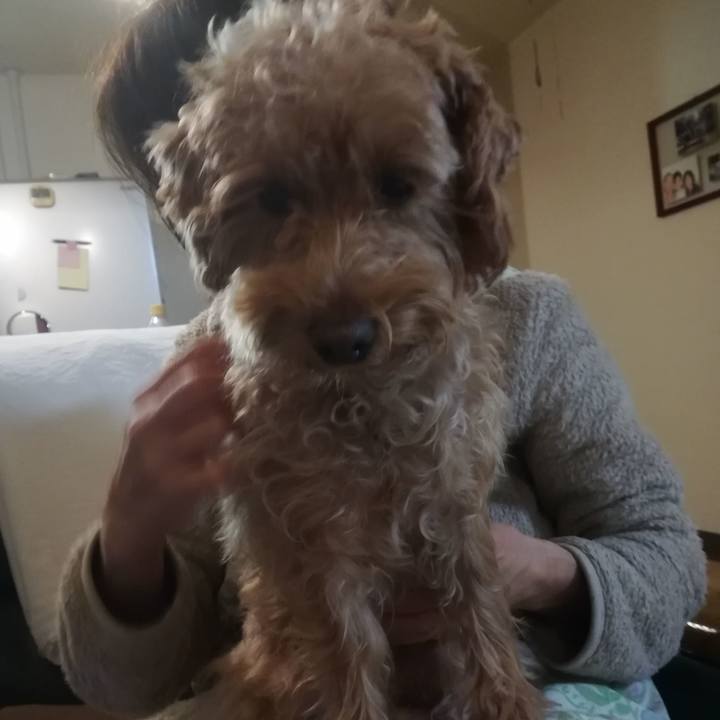 3bd63a5e 8beb 4958 9931 6973b9724fff 1547459546367