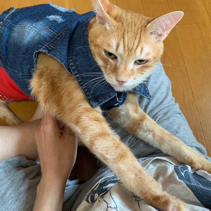 3bd65e41 b3be 4375 aaac fdde31a8d01c 1623275135586