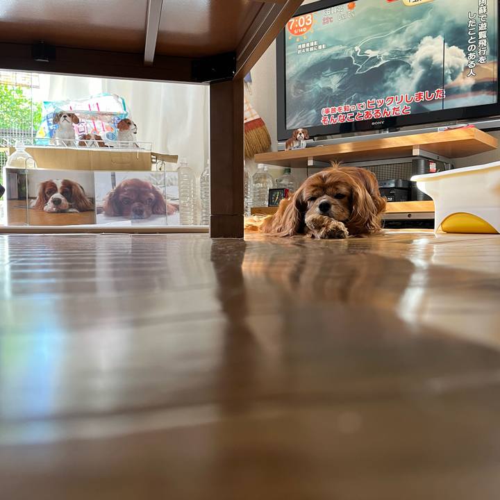 3bd660a5 bc4e 4fdc 9703 e8e652bb50b8 1715639498223