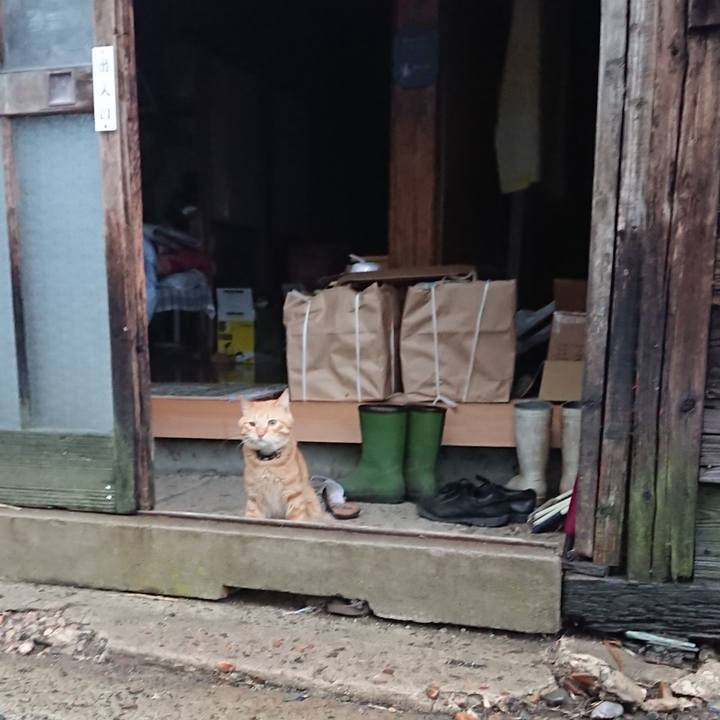 3bd66153 1300 4169 bab8 e2831ce04e0f 1660426714770