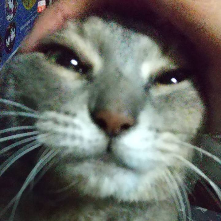 3bd68393 2312 4d94 a4b1 6fcea83a9f54 1602752548483