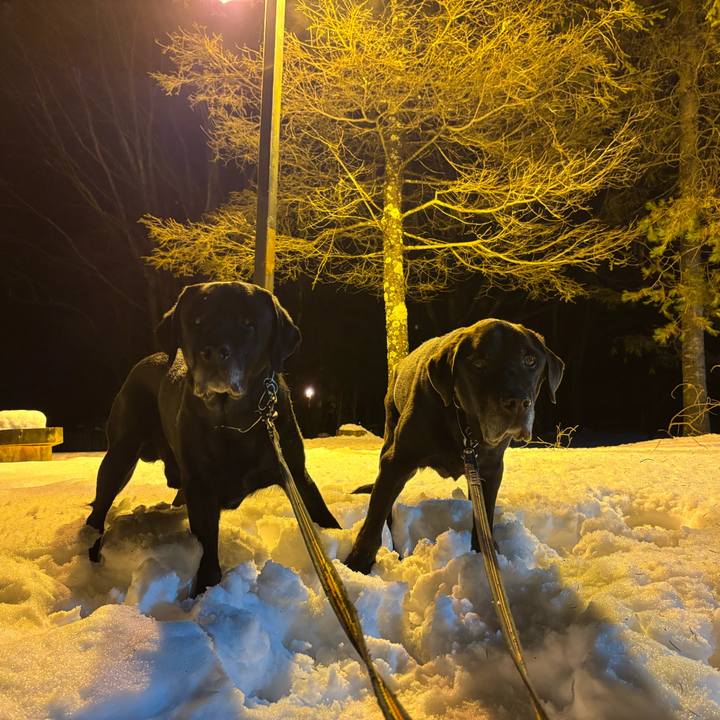 3bd684a8 8314 4348 af41 2916743dc268 1766408729784