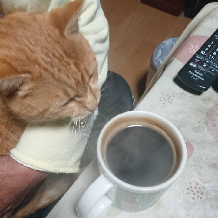 3bd68899 d4ee 43a1 8e5c f3f03494c507 1604693718721