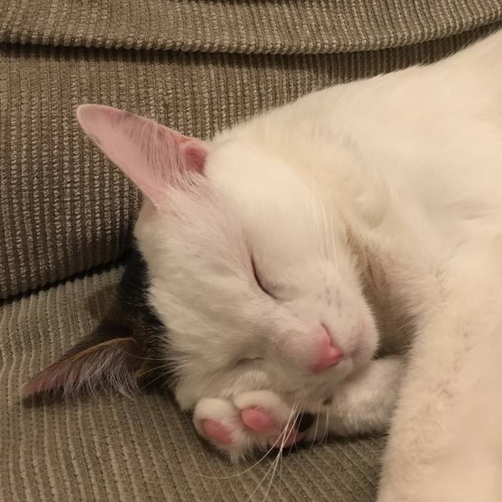 3bd6db05 b0a0 44ca b14c f0bbec0a9480 1515659898112