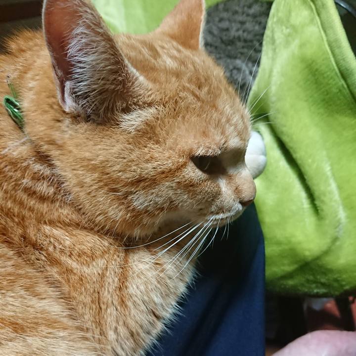 3bd701cd 28a2 4270 a047 361576e908f5 1582276512259