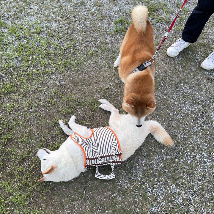 3bd72854 47a9 4eaa a9cc 2280f9b76110 1656252264085