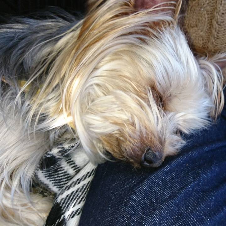 3bd75ace 6d9f 465f bfb7 ac27829e92d5 1553598023252