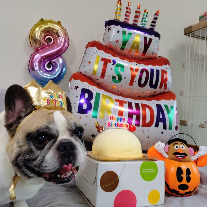 3bd76fff e1a4 4268 87dc 58ccef4867b4 1761902572919