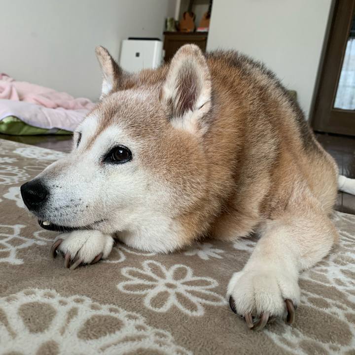 3bd78db8 ac29 4790 a2ac a19d148b3b08 1660961026778