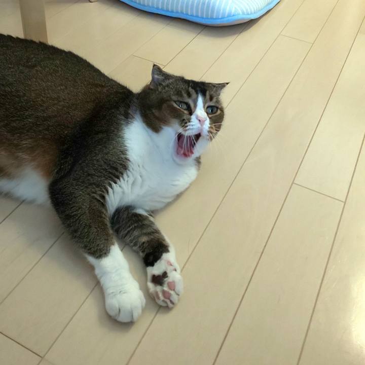 3bd7ce7f 169a 4559 ae06 405cc5daac80 1627778730517