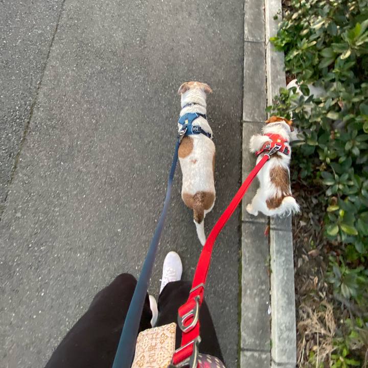 3bd7edab cc81 40ef 8e5b 4557efa1610c 1676585330661