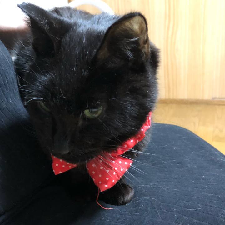 3bd80321 0be2 4383 8615 6cb5b72d0445 1557056859230