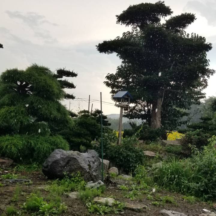 3bd8290d b5bc 43ae bfb9 3e4044556247 1693091263162