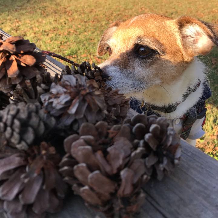 3bd82b33 c18e 4b2e a310 cf4911546e59 1540195577554