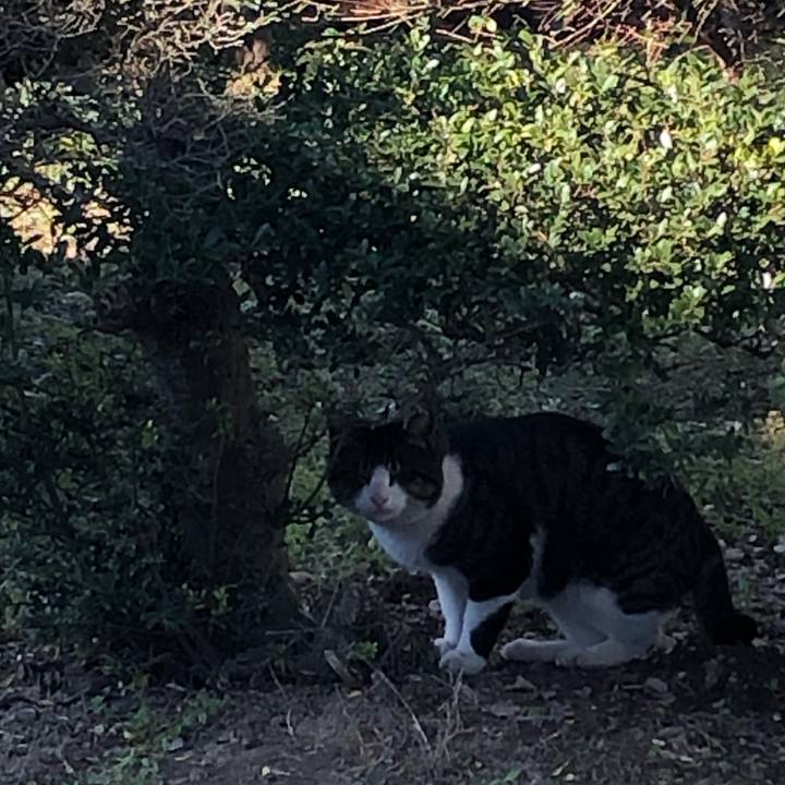 3bd82c1c 0e99 4ed1 87c8 d5ef4a533ff9 1573028509705