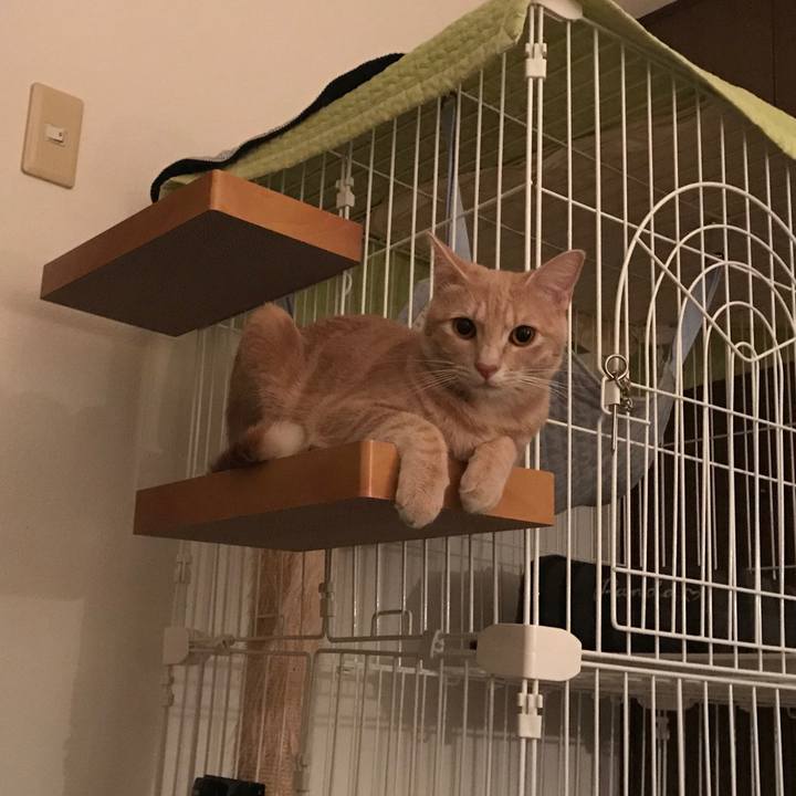 3bd840e7 7702 4bb5 b999 e5281fee5c0a 1570329390958