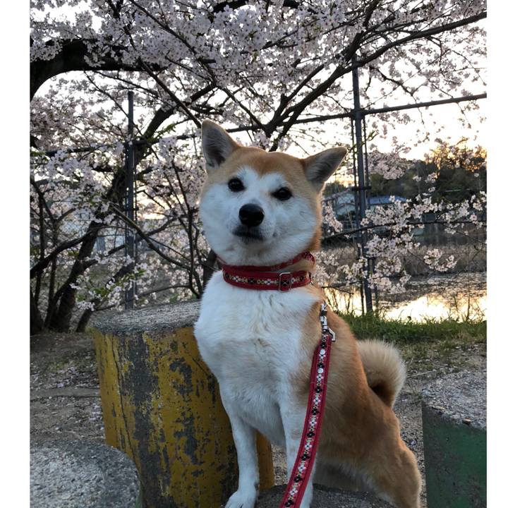 3bd842b1 ba8d 47de aaa5 cc6b09d6a55d 1522510093889