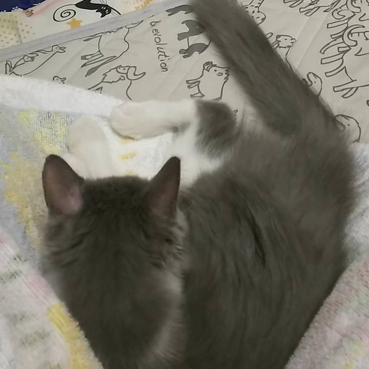 3bd84b5e 4cd3 49d9 a50b df6185b15e3e 1565306666020