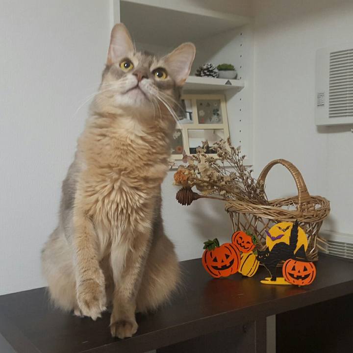 3bd8bb14 a83d 4151 b07b f6071aad4bd7 1540992515990