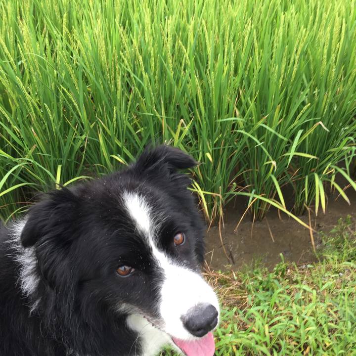 3bd8c737 13c5 432a 98f5 bc8a0b51b800 1567295990720