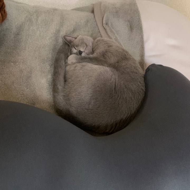 3bd8f002 8c58 4e72 bad8 a5b57e6a0fa7 1669931451606