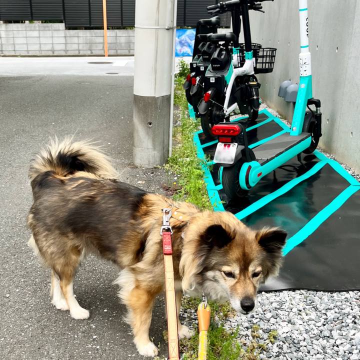 3bd8f91f ba95 4f27 9dfb 980eaf97cdde 1713408400304