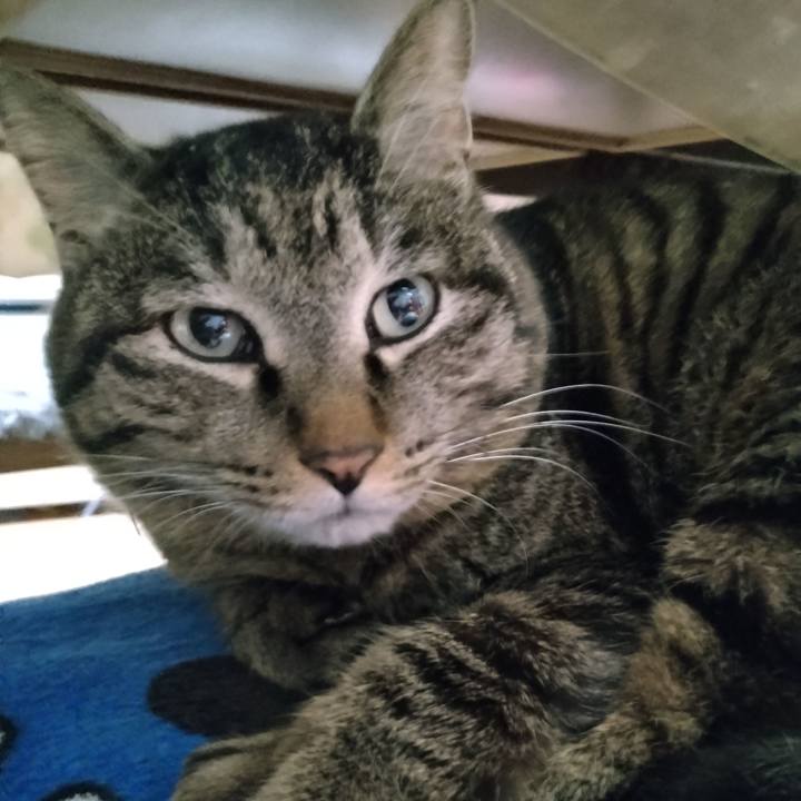 3bd93ead 428b 46d3 8703 c18760149218 1679091600822