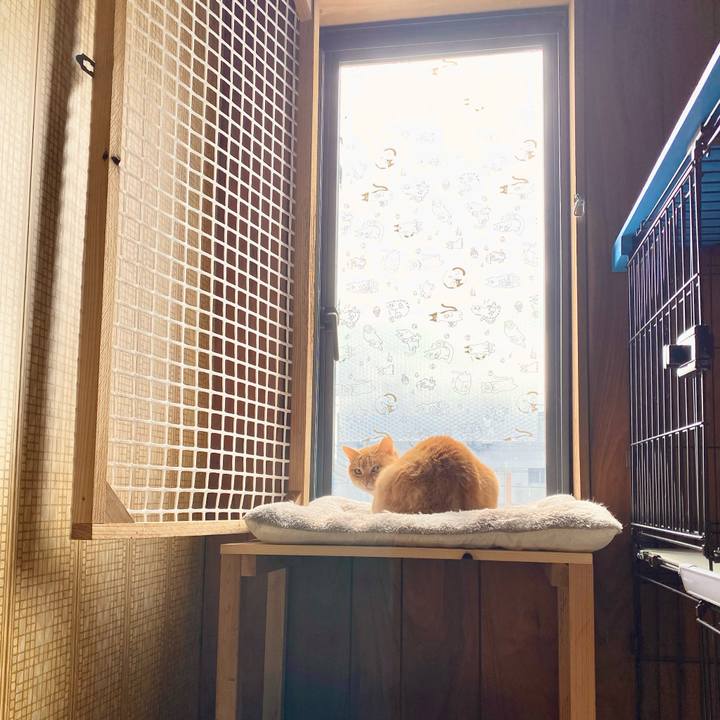 3bd94b3c 52c0 4f16 9697 0ed74ec63367 1738464797336