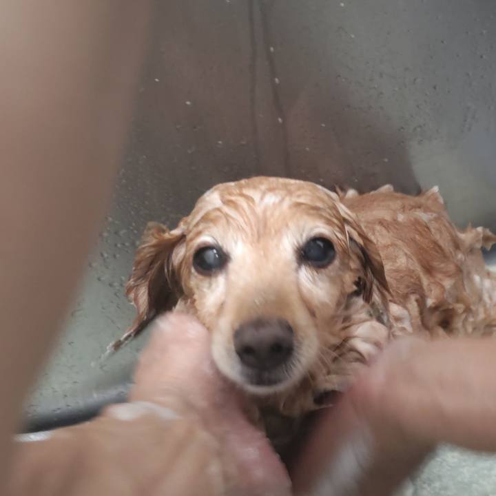 3bd94b6e b726 41b0 8540 0dd4d3b4d757 1722672616294