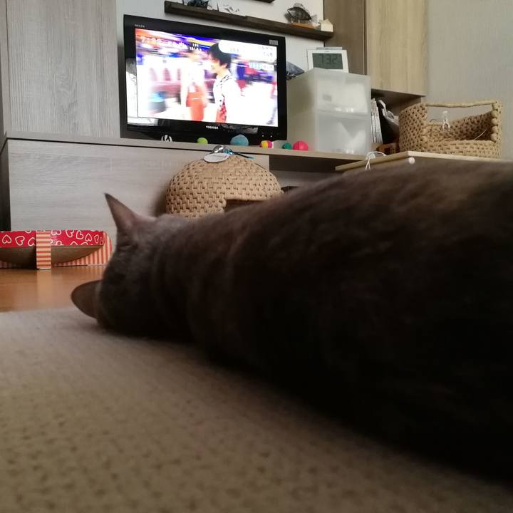 3bd9784c ea70 4fae aee2 34d9ee9cb76e 1540853948753