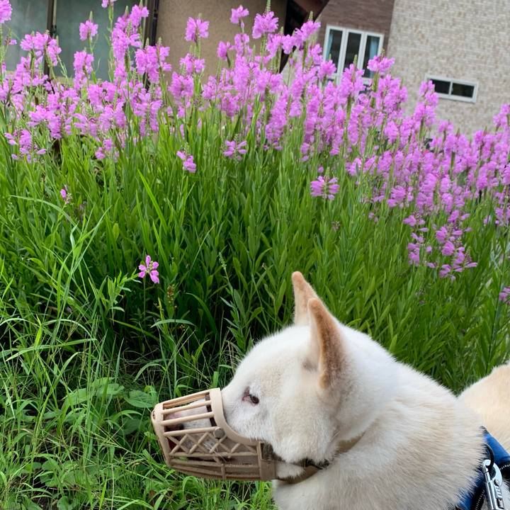 3bd996e5 4b83 40d5 9bed 63f5c4d34a5b 1661635964557