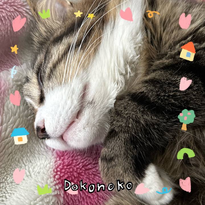 3bd9a95e 0299 4878 9b76 a9f9e44aabcf 1741314142150