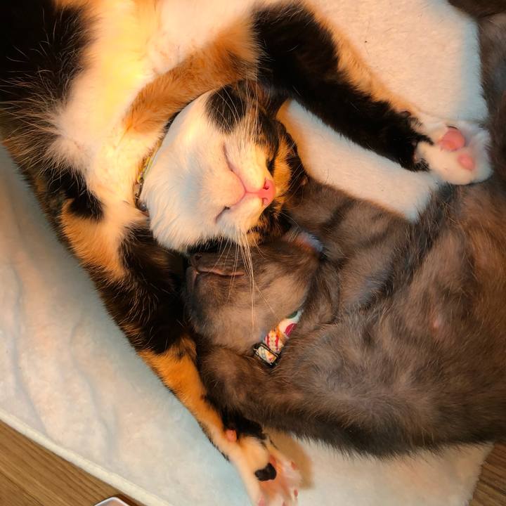 3bd9decf 8b77 4460 a17a 7a874f0dfa90 1608593909636