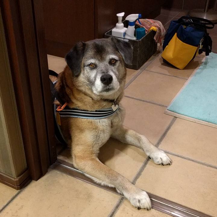 3bd9ec92 cb00 4fd5 bc6d 7dffc7f00a7a 1552214200348