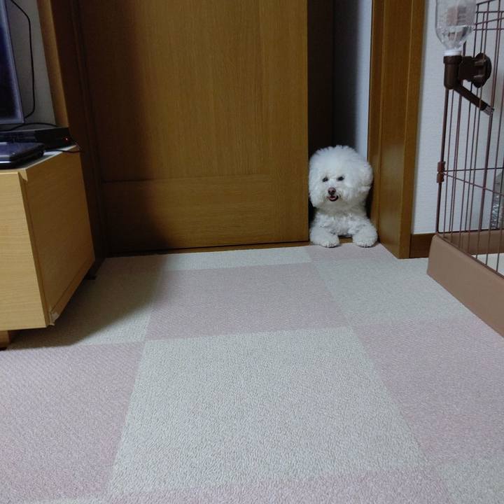 3bda21ce 256b 49f0 bd55 42d4123443bf 1629463024759