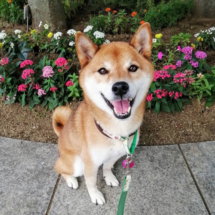 3bda2986 9692 46e8 9b93 dfc886c9bf00 1626741898195