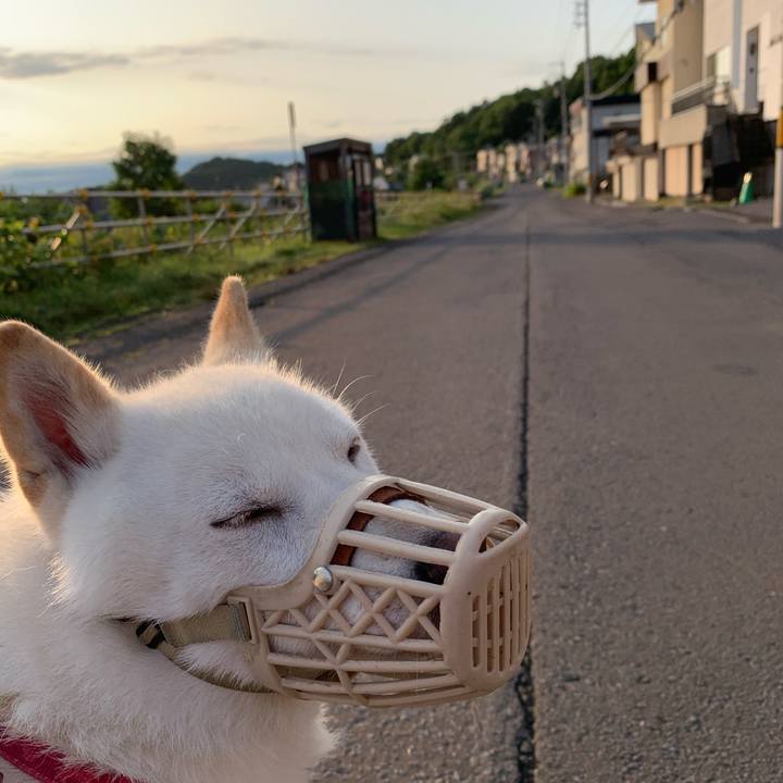 3bda34c2 991d 49b4 90dd e626515d8450 1563571068790