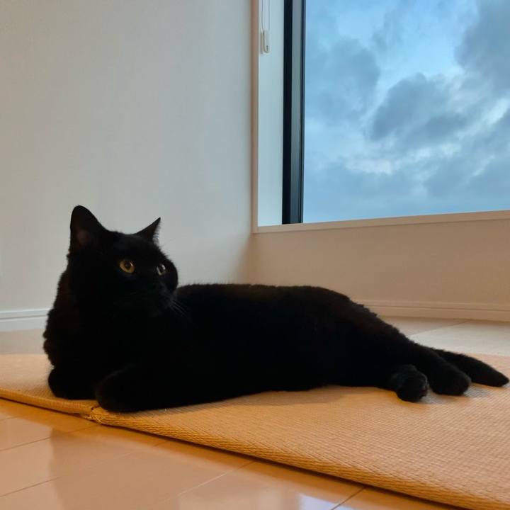 3bda4ee0 76d4 400c 8afd 075fb8a3ae8c 1624270570806