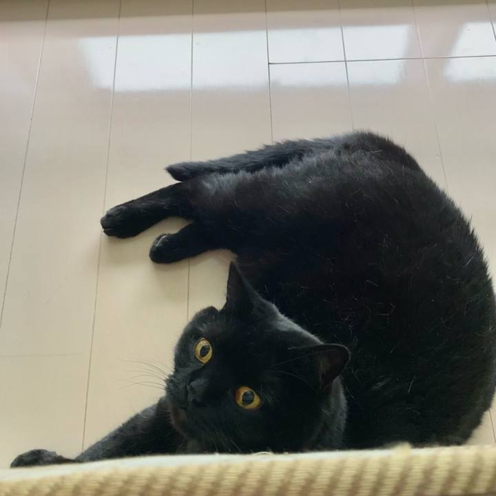 3bda608d b012 48da 9555 3c34bb5fce5e 1624751737650