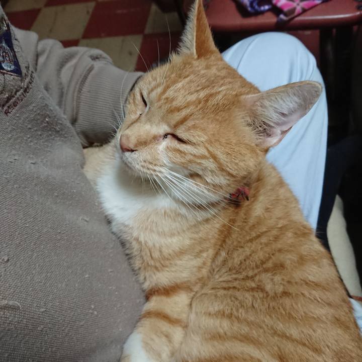 3bda63f9 34f0 4b05 b757 086fef56b1cf 1572170012303