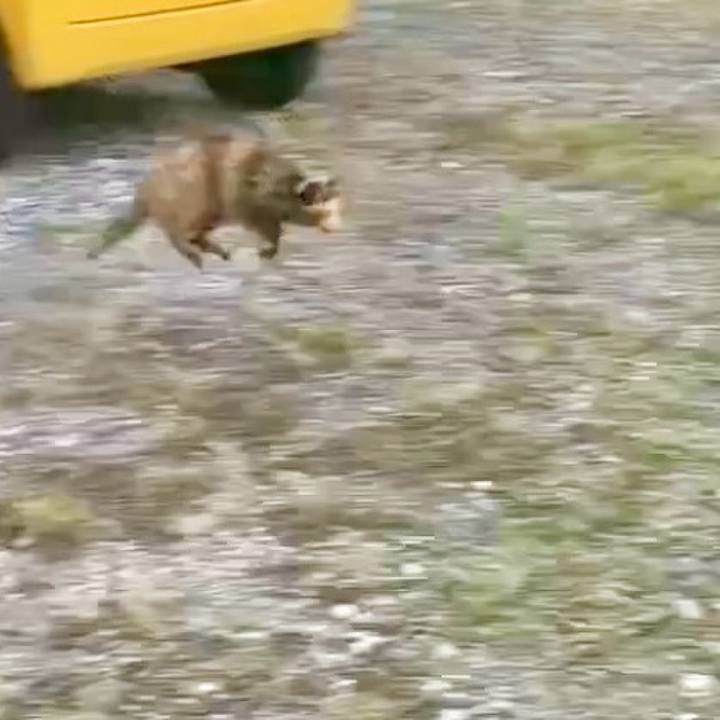 3bda990c 922d 45cc aa25 c8e764098e68 1730964975657