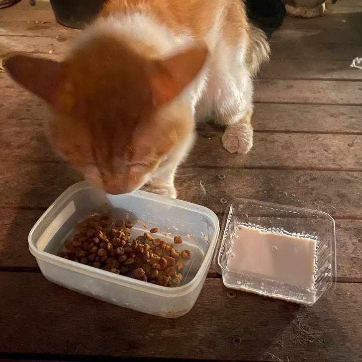 3bdaa969 5718 496a 9ca9 ffdf6154e5f4 1753167208756