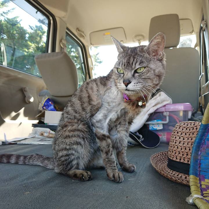 3bdaad91 f285 4bd1 97f5 8f7b1d3dd0ca 1592640591910