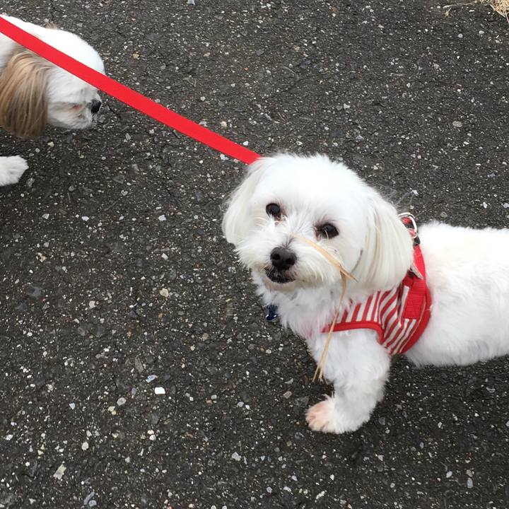 3bdab7d9 7b94 4f5e 99df b4b6a83159fe 1539410048915