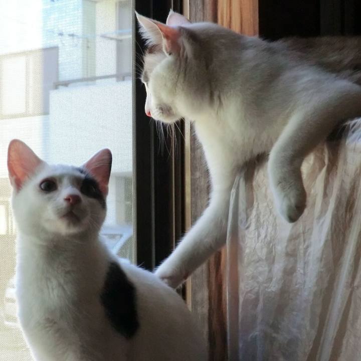 3bdadca9 6fc0 4a01 817d 77678bec3031 1585044409544