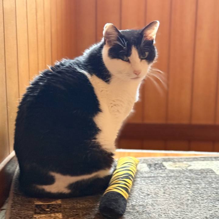 3bdb0d26 c6ef 4fa8 8276 e639f659827f 1738722564205